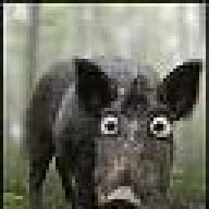 hai3