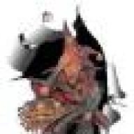 rincewind00