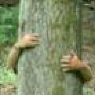 baumumarmer