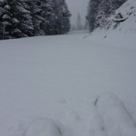 Sauerwälder