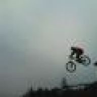 Gauly