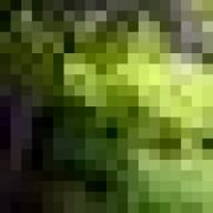 Sebastian_2