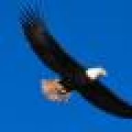 EagleEye