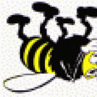 Dead Bee