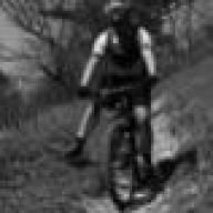 goSCHNITZELgo