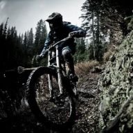 Brummer