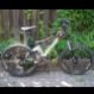 Freeride81