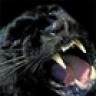Benpanther