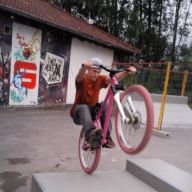 bollobikerboom
