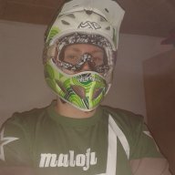 stapf8ulle