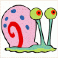 shigella