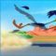 Roadrunner_58