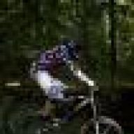 freeridejojo