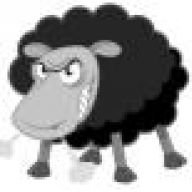 -black-sheep-