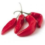 Chillizuechter
