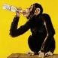 DrunknMonkey