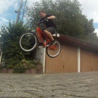 dirtrider2010