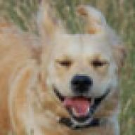 mtbFritz