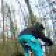 enkel