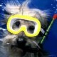 subdiver