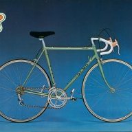 Olmo