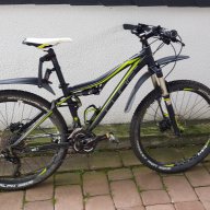 bergziege-58