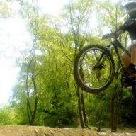 Marki81