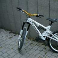 Morewood91