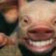 Oink