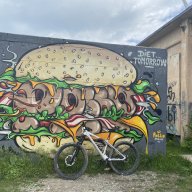 sigrida