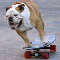 racing4life
