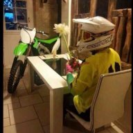Fox88rider