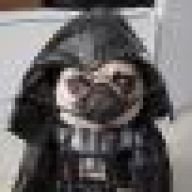 der-mops