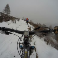 shredaholic