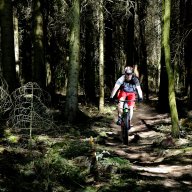 Stratman88