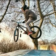 Dennis_247
