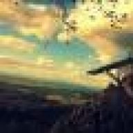 Crow_1311