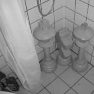 bierne