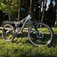 Hofi91