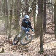 Tim_Sauer