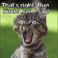 RunBMC