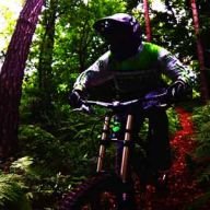FreeRideWings