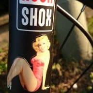 Fonsi-bln