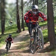 g0ldr4k3