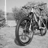 Steckmetz