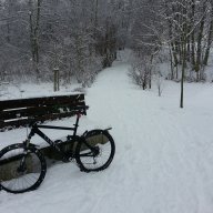 RadlerOST