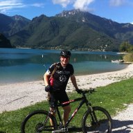 Rotwildmichi