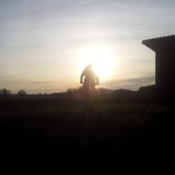 Massl_Wallace
