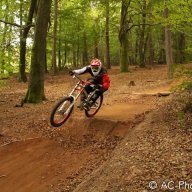 Schroeder87