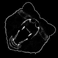 MoLe_Rider